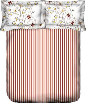 Portico New York Double Bedsheet Morning Glory new