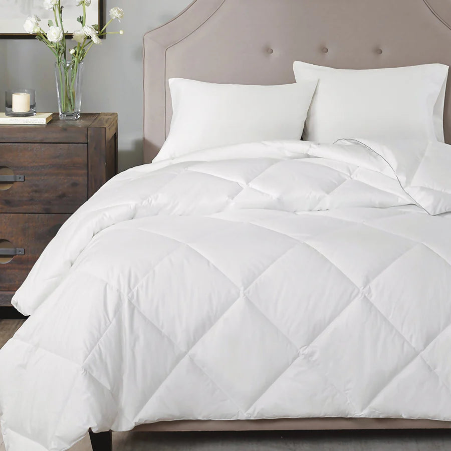 Portico New york Siesta winter - grahsajja