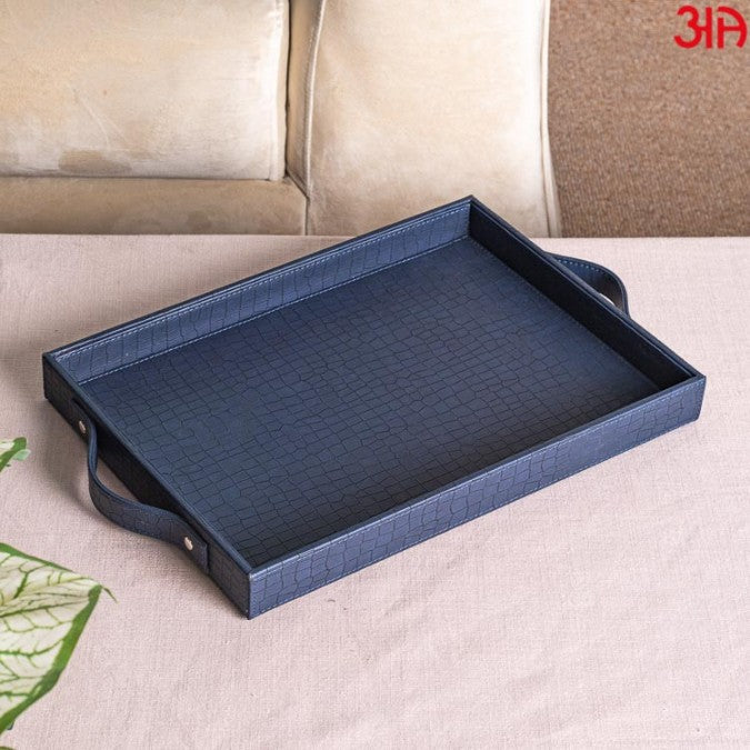 TRAY0055-MULTI PURPOSE TRAY (W/HANDLE)-36X25X4 - grahsajja