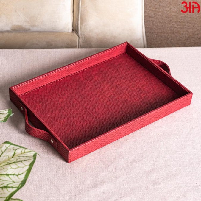 TRAY0055-MULTI PURPOSE TRAY (W/HANDLE)-36X25X4 - grahsajja