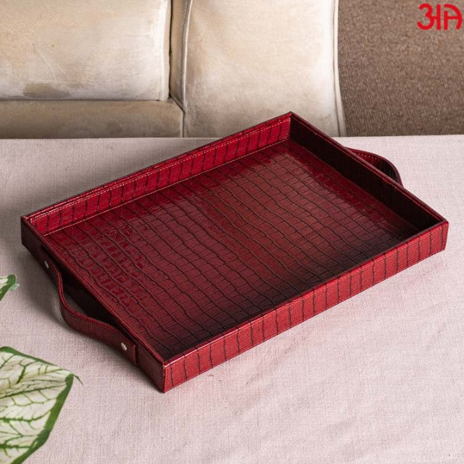 TRAY0055-MULTI PURPOSE TRAY (W/HANDLE)-36X25X4 - grahsajja