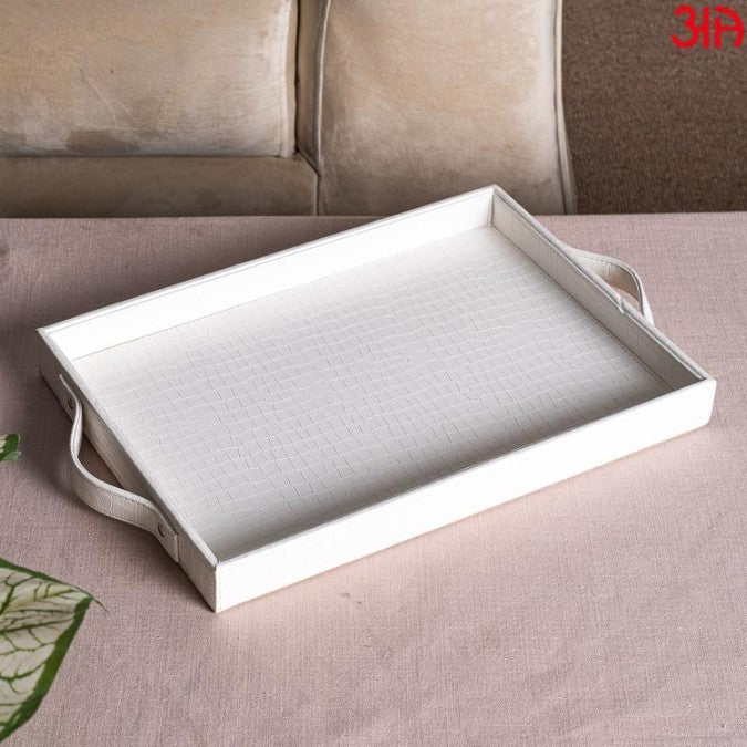 TRAY0055-MULTI PURPOSE TRAY (W/HANDLE)-36X25X4 - grahsajja
