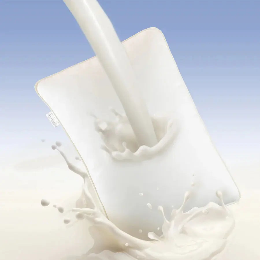 Spread Spain Milk Pillow Filled With Milk Protein Fibres - grahsajja