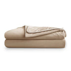 Sleepology Temprature control Quilt | Coffee SPREAD HOME PROD PVT LTD.