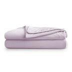 Sleepology Temprature control Quilt | Lavender SPREAD HOME PROD PVT LTD.