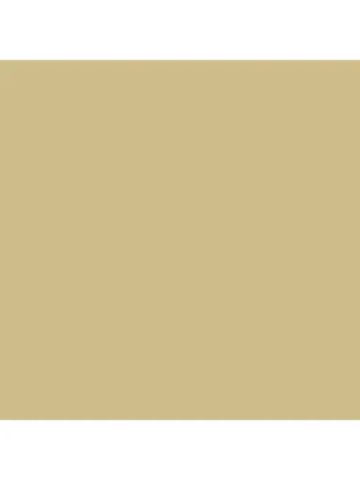 Spaces Hygro Cotton King Size Bedsheet Gold with 4PCs Pillow Cover - grahsajja