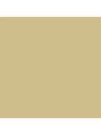 Spaces Hygro Cotton King Size Bedsheet Gold with 4PCs Pillow Cover - grahsajja