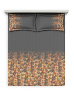 Modish Dark Shadow | D'Decor Maxima Collection