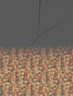 Modish Dark Shadow | D'Decor Maxima Collection