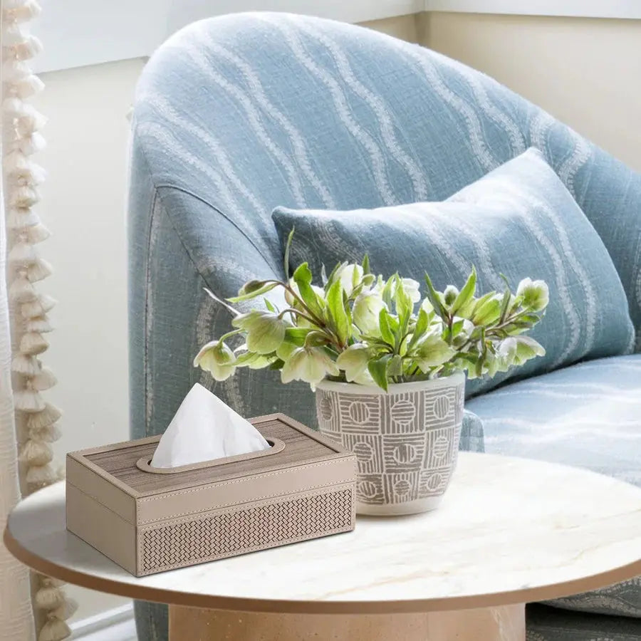 Riggiani Tissue Box SPREAD HOME PROD PVT LTD.