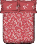 Portico Dazzle Printed Double Bedsheet Set - Grah Sajja