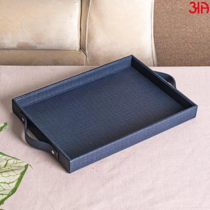 TRAY0055-MULTI PURPOSE TRAY (W/HANDLE)-36X25X4 - grahsajja