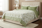 Portico New York Shalimaar 250 TC 100% Cotton Health Pro Printed Super King Bedsheet with 2 Pillow Cover SS2025 Portico