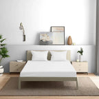 300TC Solid Colour King size Bedsheet with 2pc Pillow Cover - grahsajja