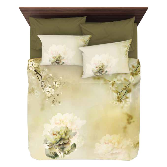 King Size Organic Cotton - grahsajja