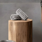 ROMA 2 Pcs Face Towel - All Over | Color : Mouse