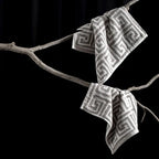 ROMA 2 Pcs Face Towel - All Over | Color : Mouse