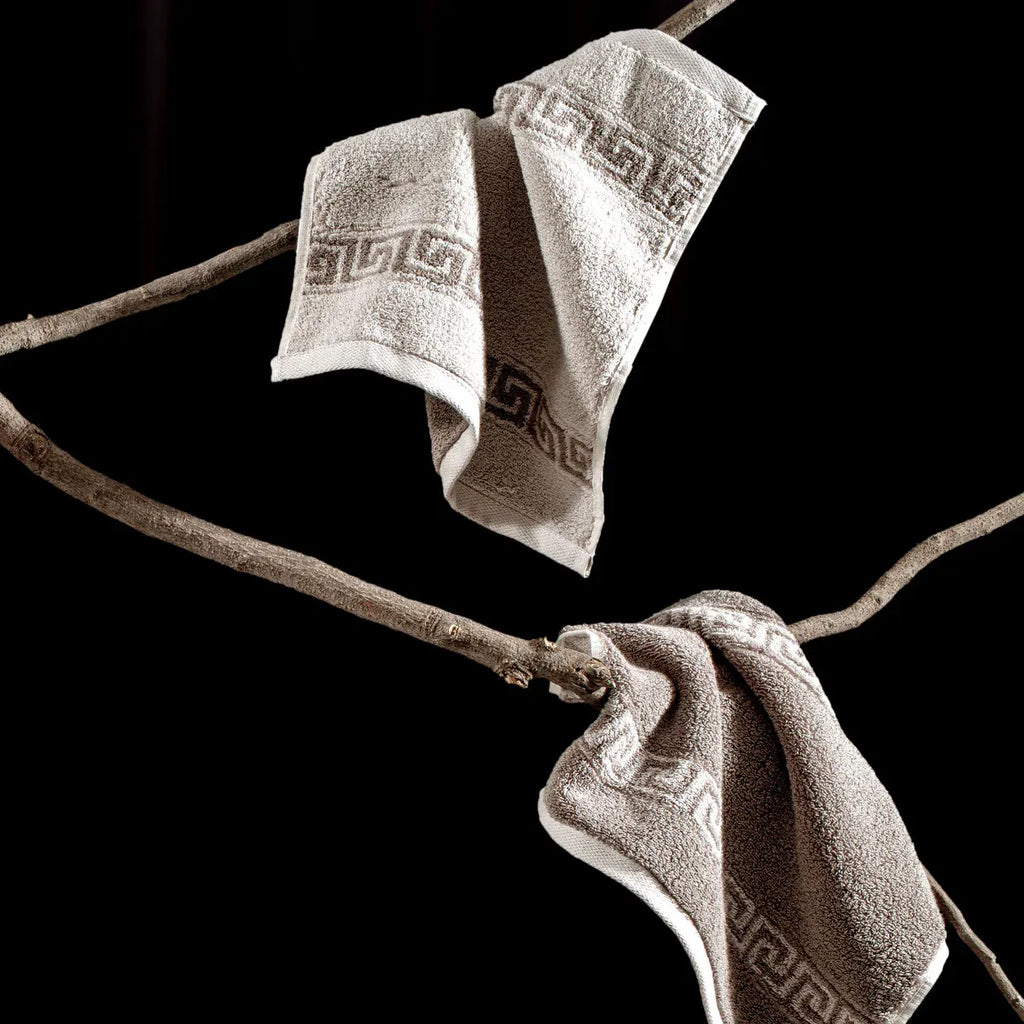 ROMA 2 Pcs Face Towel - Border | Color : Mouse