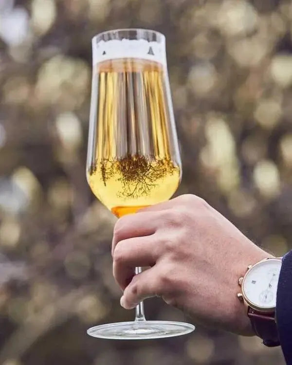 ZALTO BEER GLASS SET OF 2 ZALTO